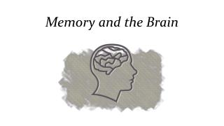 Memory and the Brain