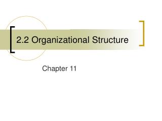 2.2 Organizational Structure