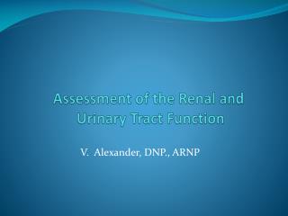 Assessment of the Renal and Urinary Tract Function