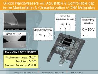 Silicon Nanotweezers with Adjustable &amp; Controllable gap