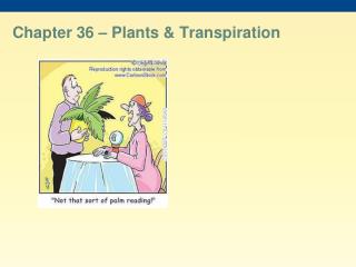 Chapter 36 – Plants &amp; Transpiration