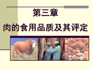 第三章 肉的食用品质及其评定