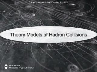 Theory Models of Hadron Collisions