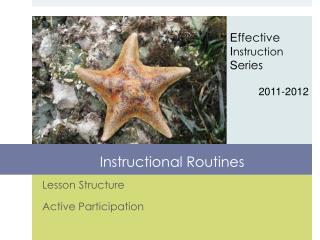 Instructional Routines