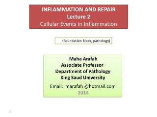 Dr. Maha Arafah