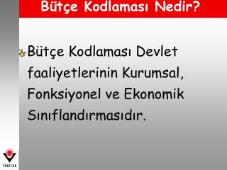 Bütçe Kodlaması Nedir?