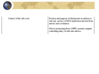 CONTROL OF THE CELL CYCLE