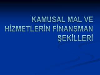 Kamusal Mal ve Hizmet Nedir?