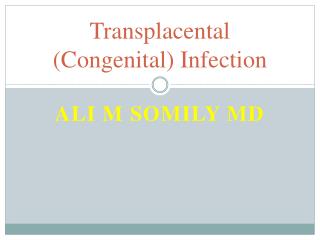 Transplacental (Congenital) Infection