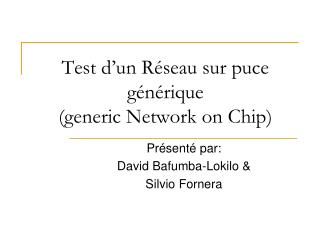 Test d’un Réseau sur puce générique (generic Network on Chip)