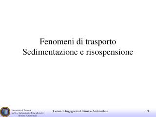 Fenomeni di trasporto Sedimentazione e risospensione