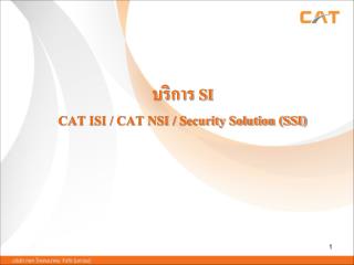 บริการ SI CAT ISI / CAT NSI / Security Solution (SSI)
