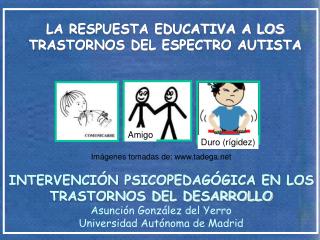 LA RESPUESTA EDUCATIVA A LOS TRASTORNOS DEL ESPECTRO AUTISTA