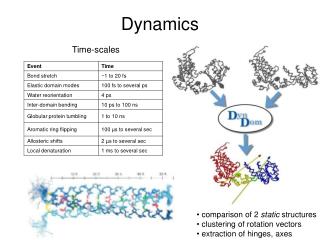 Dynamics