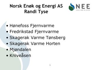 Norsk Enøk og Energi AS Randi Tyse