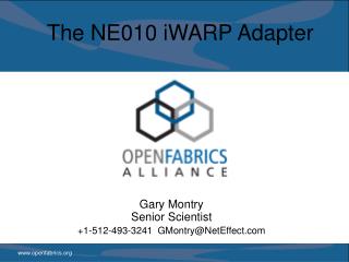 The NE010 iWARP Adapter