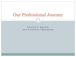 Our Professional Journey