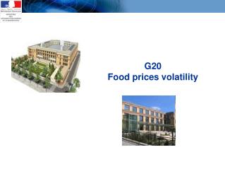 G20 Food prices volatility