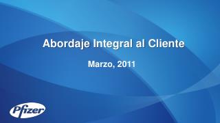 Abordaje Integral al Cliente