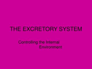 THE EXCRETORY SYSTEM