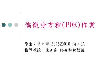 偏微分方程 (PDE) 作業