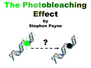 The Phot oblea ch i ng Eff ect by Stephen Payne ?