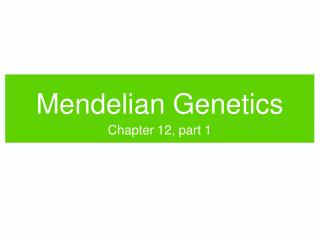 Mendelian Genetics