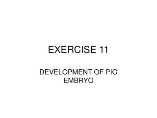 EXERCISE 11