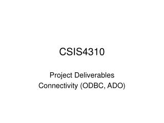 CSIS4310