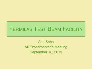 Fermilab Test Beam Facility