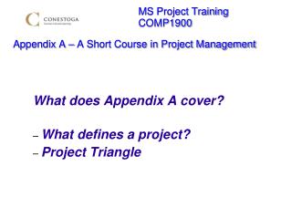MS Project Training 							COMP1900 Appendix A – A Short Course in Project Management