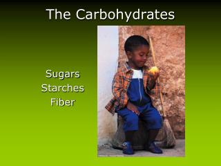 The Carbohydrates