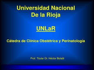 Prof. Titular Dr. Héctor Bolatti