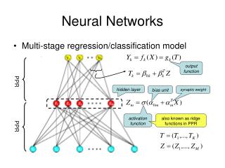 Neural Networks