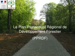 Le Plan Pluriannuel Régional de Développement Forestier (PPRDF)
