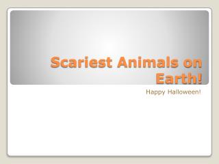 Scariest Animals on Earth!