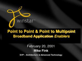 Point to Point &amp; Point to Multipoint Broadband Application Enablers