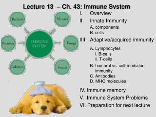 Lecture 13 – Ch. 43: Immune System
