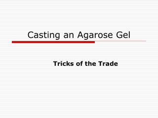 Casting an Agarose Gel