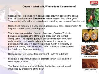 Cocoa – What is it, Where does it come from?