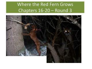 Where the Red Fern Grows Chapters 16-20 – Round 3