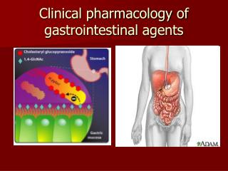 Clinical pharmacology of gastrointestinal agents
