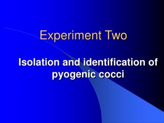 Isolation and identification of pyogenic cocci