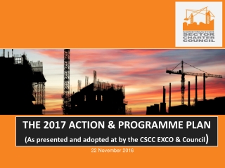 THE 2017 ACTION & PROGRAMME PLAN (As presented and adopted at by the CSCC EXCO & Council )