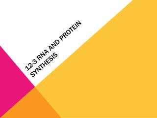 12-3 RNA and Protein Synthesis