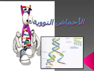 الأحماض النووية
