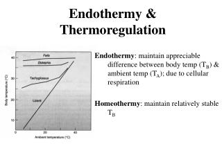 Endothermy &amp; Thermoregulation