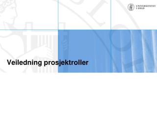 Veiledning prosjektroller