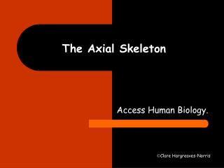 The Axial Skeleton