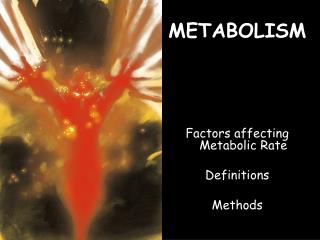 METABOLISM